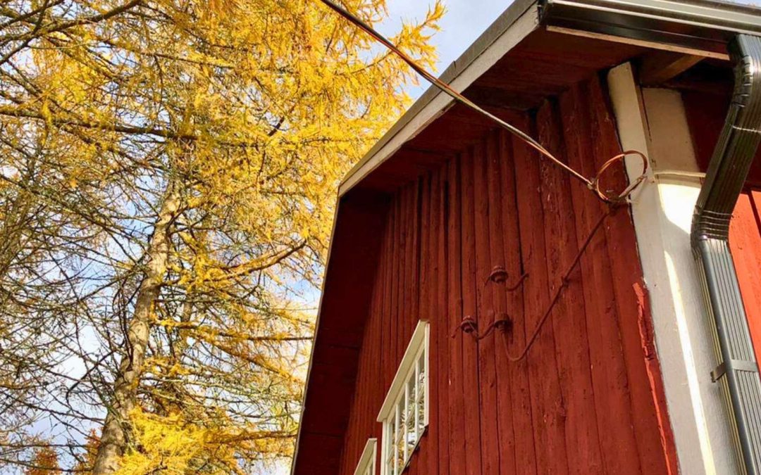 Kun yrittäjä ei voi maksaa itselleen palkkaa – mitä se paljastaa ja mitä pitäisi tehdä?