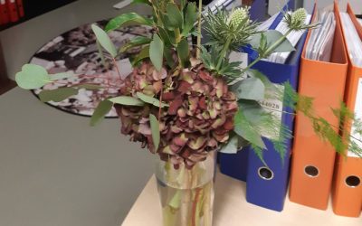 Miksi tilitoimiston lasku maksetaan viimeisenä?